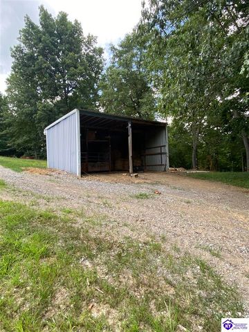 1088 Wonderland Cavern Road, Cecilia, KY 42724