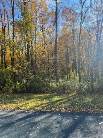 9122 Richland Woods Drive, Richland, MI 49083