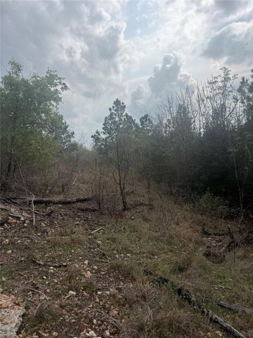 TBD Mauna Kea LN, Bastrop, TX 78602