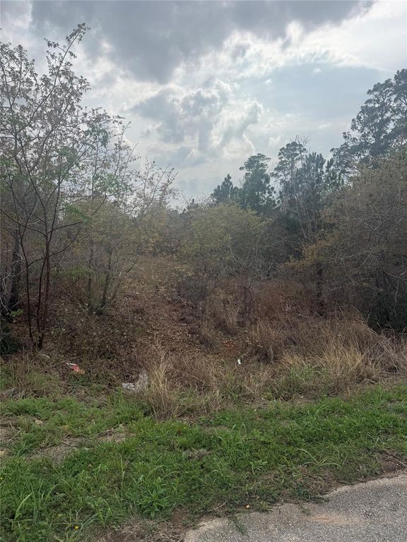 TBD Mauna Kea LN, Bastrop, TX 78602