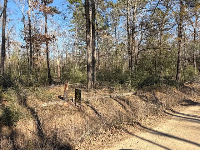 TBD Wild Bird Lane, Livingston, TX 77351