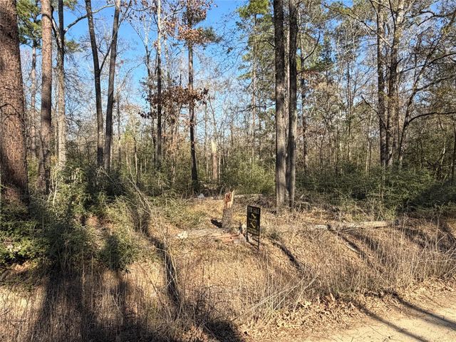 TBD Wild Bird Lane, Livingston, TX 77351