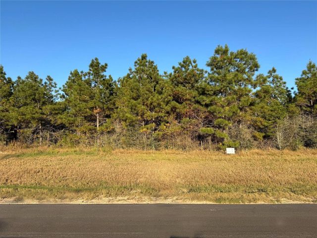 15762 Grey Hawk Lane, Willis, TX 77378