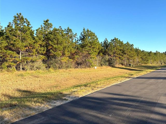 15762 Grey Hawk Lane, Willis, TX 77378