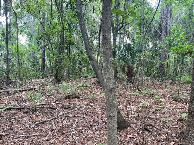 000 SE HAWTHORNE ROAD, Hawthorne, FL 32640