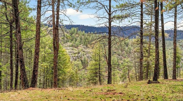 23600 N McLellan Ln, Nine Mile Falls, WA 99026