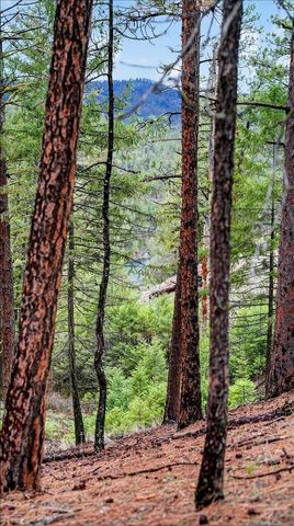 23600 N McLellan Ln, Nine Mile Falls, WA 99026