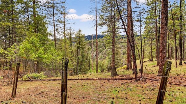 23600 N McLellan Ln, Nine Mile Falls, WA 99026