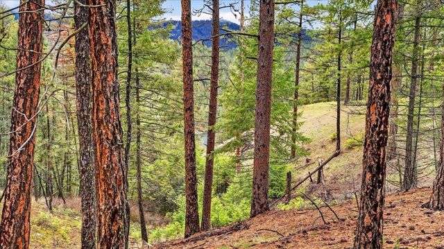 23600 N McLellan Ln, Nine Mile Falls, WA 99026