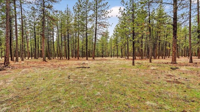 23600 N McLellan Ln, Nine Mile Falls, WA 99026