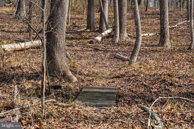 10418 CLIFF MILLS RD, Marshall, VA 20115