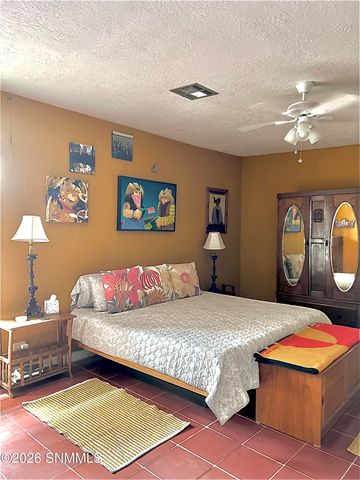 2043 Calle De Correo, Las Cruces, NM 88005