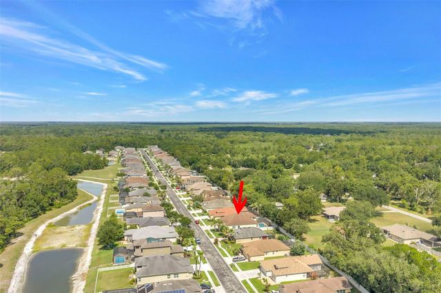 27405 SORA BOULEVARD, Wesley Chapel, FL 33544