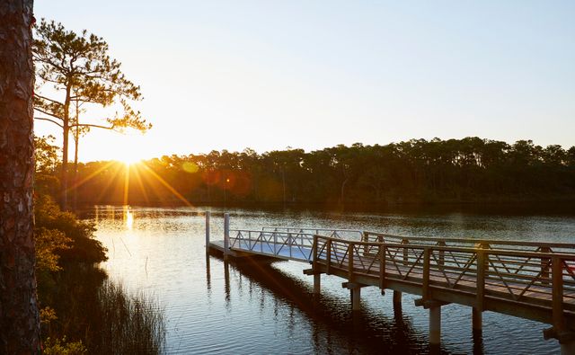 332 Pollard Cove East Lot 118, Watersound, FL 32461