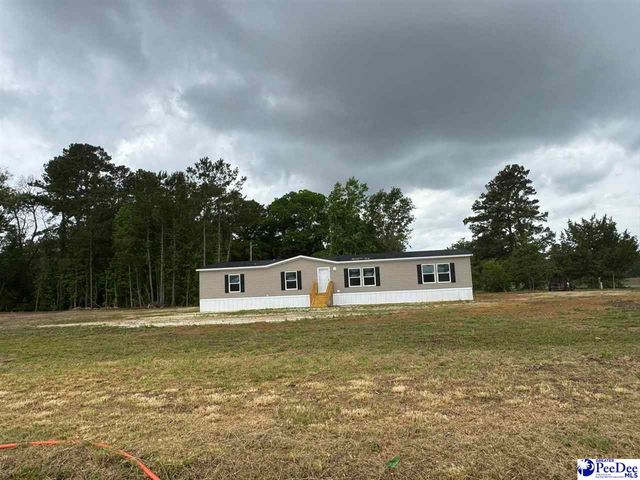 1006 Gause Canal Rd, Coward, SC 29530