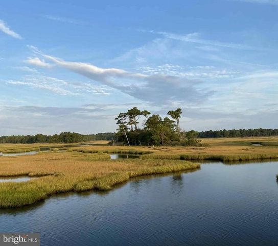 12310 SOUTHHAMPTON DR, Bishopville, MD 21813