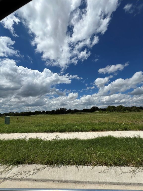15204 Ty Marshall Court, College Station, TX 77845 — photo 3