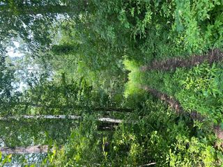 0 Chambers Road, Mayville, MI 48744