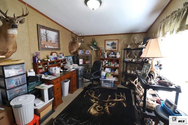 485 DONALDSON ROAD, Calhoun, LA 71225