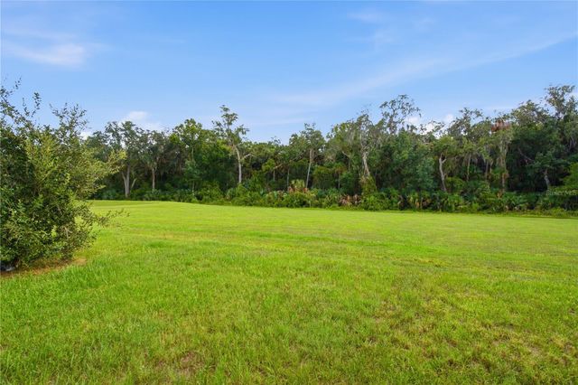 20043 ROYAL TERN COURT, Leesburg, FL 34748