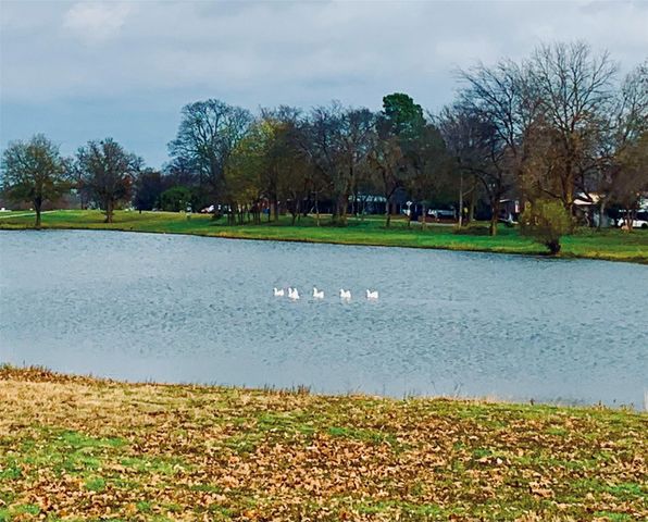 108 Reservoir Street, Sulphur Springs, TX 75482