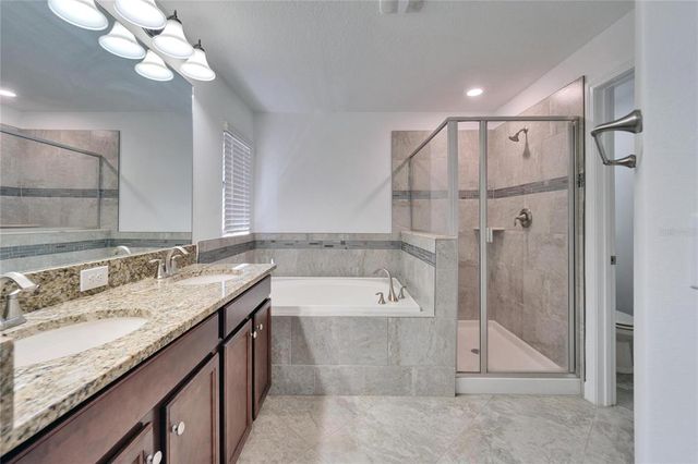 12055 CARDINAL FLOWER DRIVE, Riverview, FL 33579
