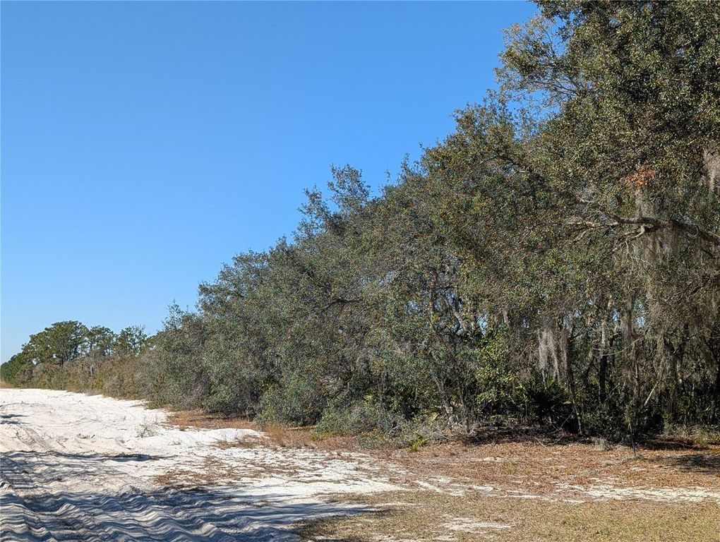 Image 4 of property listing at 6 HIBISCUS DRIVE, Indian Lake Estates, FL 33855