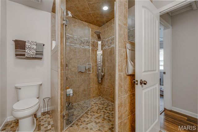 258 Rue Orleans, Bonne Terre, MO 63628