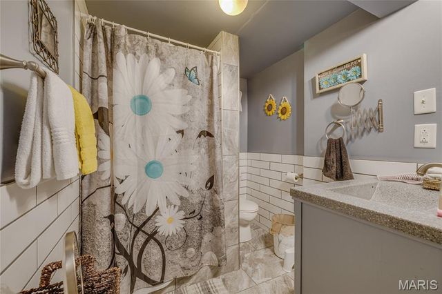 258 Rue Orleans, Bonne Terre, MO 63628