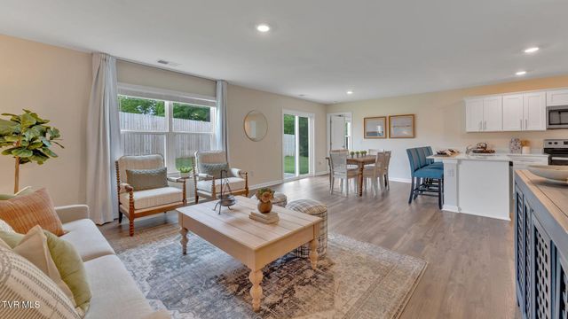 126 Mint Court, Bluff City, TN 37618