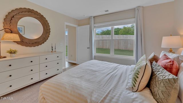 126 Mint Court, Bluff City, TN 37618