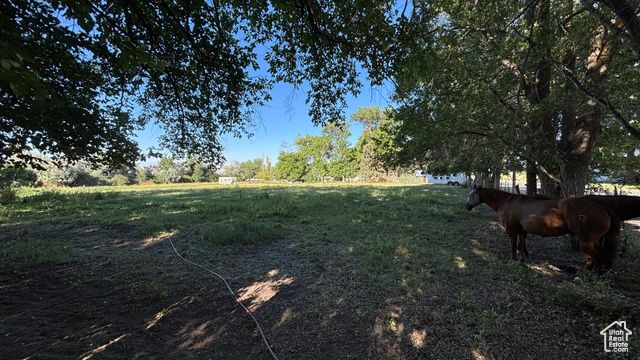 414 E 2625 N, Layton, UT 84041