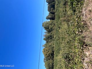 Lucius Taylor Road, Como, MS 38619