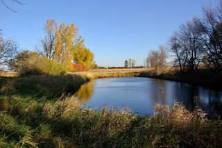 TBD 230th Street, Worthington Twp, MN 56187