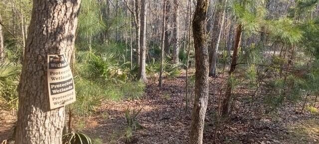 2160 Nicholas David Path, Johns Island, SC 29455