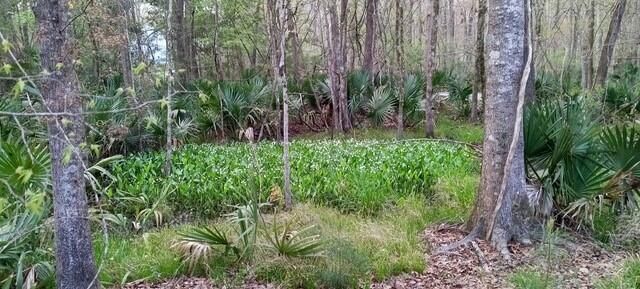 2160 Nicholas David Path, Johns Island, SC 29455