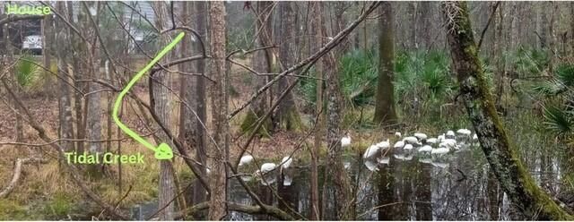 2160 Nicholas David Path, Johns Island, SC 29455