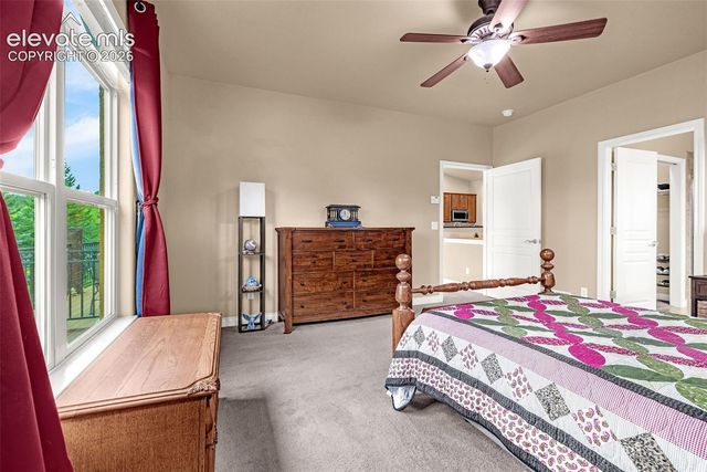 2354 Conservatory Point, Colorado Springs, CO 80918