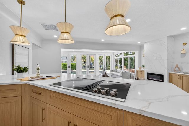 1233 EDEN ISLE DRIVE NE, St Petersburg, FL 33704