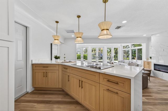 1233 EDEN ISLE DRIVE NE, St Petersburg, FL 33704