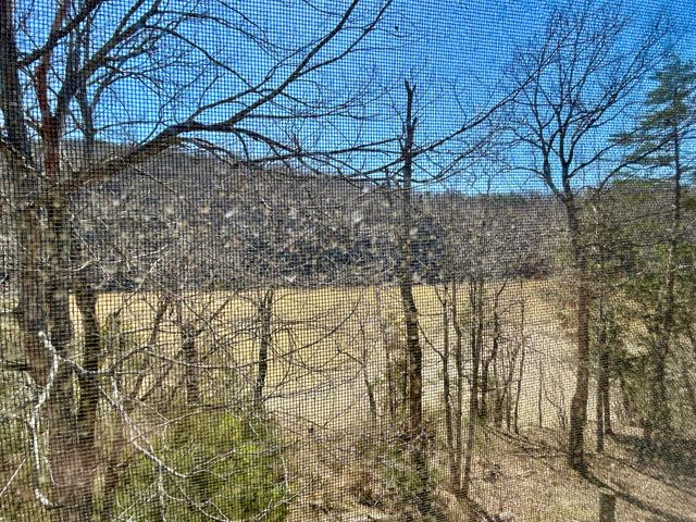 106-2 Woodson Bend Resort, Bronston, KY 42518