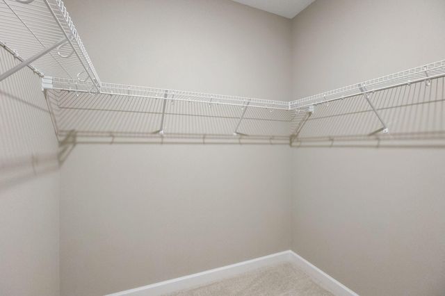 20096 Ginseng Way, Lakeville, MN 55044