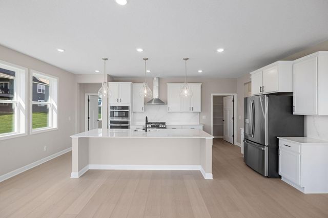 20096 Ginseng Way, Lakeville, MN 55044