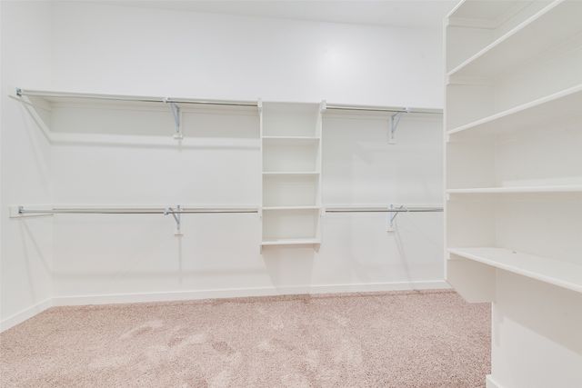 173 Coyote Creek Drive, Lavon, TX 75166