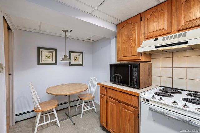 31 Walnut Avenue, South Farmingdale, NY 11735