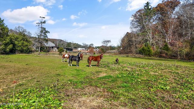 5506 Raccoon Valley Drive, Knoxville, TN 37938