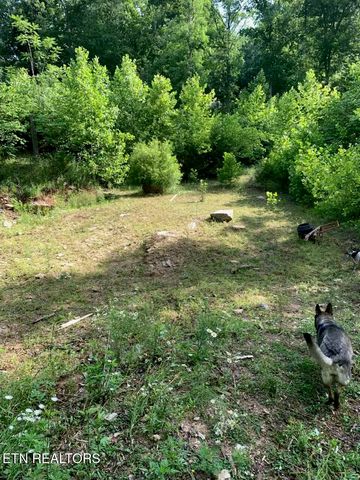 5506 Raccoon Valley Drive, Knoxville, TN 37938