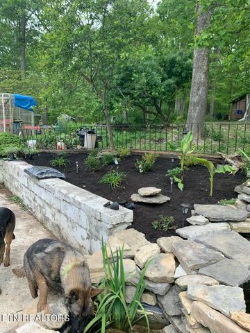 5506 Raccoon Valley Drive, Knoxville, TN 37938