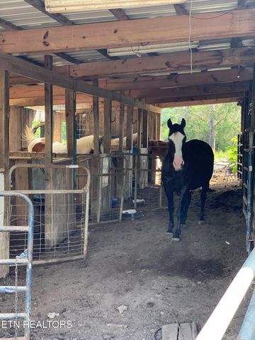 5506 Raccoon Valley Drive, Knoxville, TN 37938