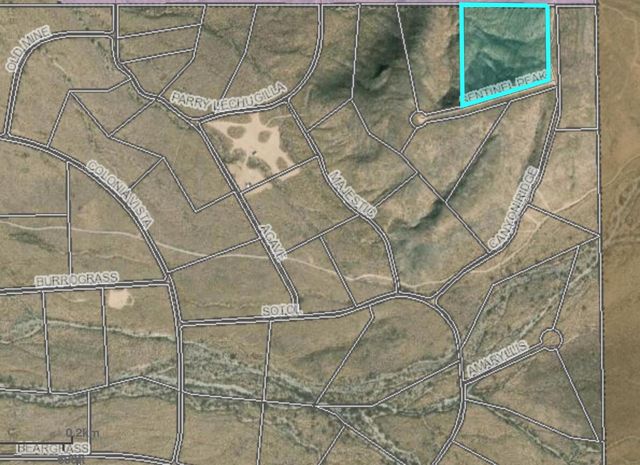 TBD SENTINEL Drive, Canutillo, TX 79835